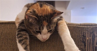 Heartwrenching Favs (For Me)