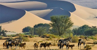 500 Places and Things Scott Has Seen in His Travels