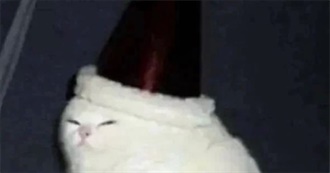 Molly&#39;s Top 100 Movies of All Time