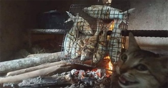 Pizzopaps&#39; Top 100 Movies