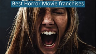 All Horror Movie Franchises Ranked