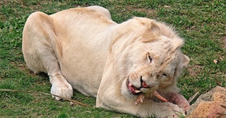 Leo&#39;s Top Movies