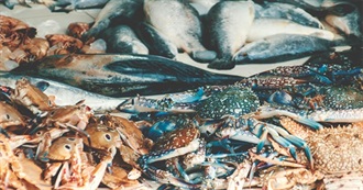 A Culinary Tour of 15 Raw Seafood Dishes