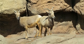 20 Wild Places of the World