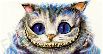 All Books in a Small Student Room