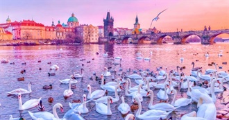 Top 10 Cities in Central Europe