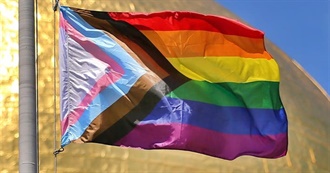 LGBT+ Flags You Can Identify