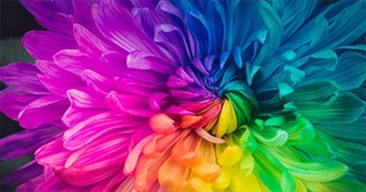 Book Attack&#39;s One Read, One to Read