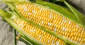 What David Ate - Day 42