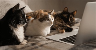 Films Seen 2025 Part 1: Winter-Spring (January-April)