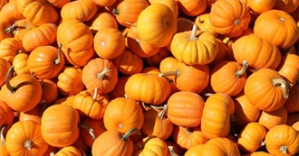 Pumpkin Everything