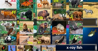 George Boggs&#39; World Animal Alphabet