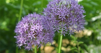 One Book by Each Author LB Has Read ( E &amp; F)