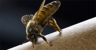 Back to Travel: 100 Places Here in the USA to Visit. Focus on Purple States