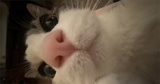 Sarah&#39;s Top 60 Movies