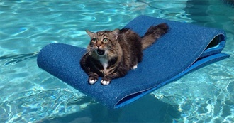 Around the World for Landlubbers