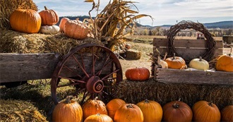 Saturdays in the Fall