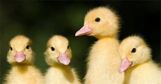 Kelsey&#39;s Origin Stories