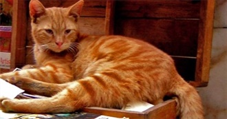 Books I've Read So Far in 2023