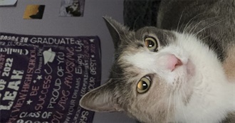 Leah&#39;s Top 100 Music