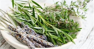 More Herbs, Less Salt Day - Culinary Herbs