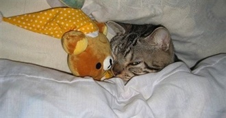 How Many of Emm&#39;s Liked Movies Have You Seen?