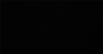 Nikita&#39;s A-Z of Horse Breeds