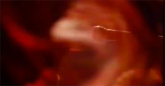 Books I&#39;ve Read So Far by Petrus Flavius