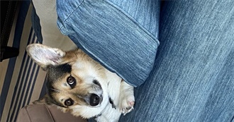 Jo&#39;s Fave Movies