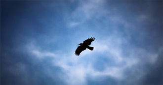 The Extinct Birds of North America