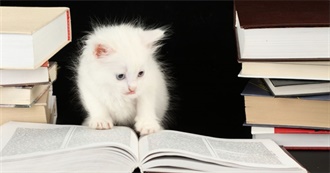 &#127809;⭒ Books for Everyone ⭒&#127809;