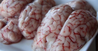 Worlds Most Questionable Foods