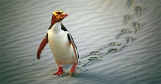 Most Wanted Countries