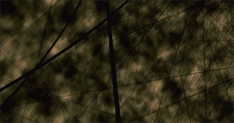 Olives Favorite Music