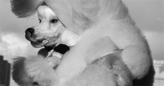 Paige&#39;s Favorites (Never Claimed to Have Good Taste)