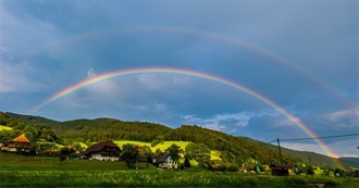 Things Nguyen Wants to Do Before Nguyen Die