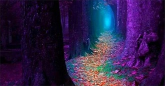 Books Read Before 40