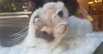 Eastling&#39;s Favorite Movies