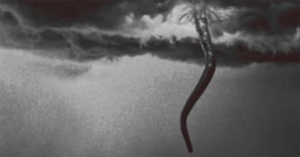 Last 10 Movies Watched - 44 (Cch)