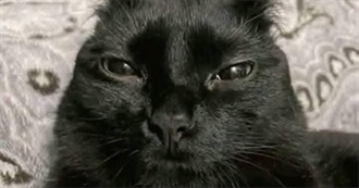 All of the Fav Movies That Dom Can Remember off the Top of Its Head