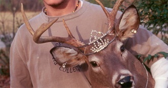 Thegettingbyii&#39;s 80 Favorite Films