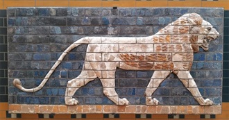 Most Common Interests of ISTP Persons