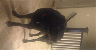 WC&#39;s 80 Best Movies Feb 2018