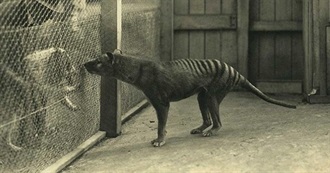 Ray&#39;s Top 75 Movies