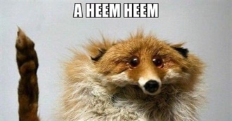 EJ List of Movie Suggestions