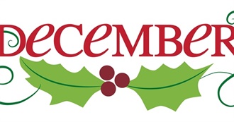 Lamom&#39;s December Reads 2011-24