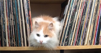 Albums Ray Listened to Multiple Times in 2022