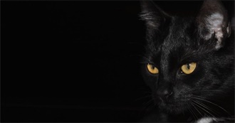 A World Full of Witches