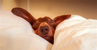 Places I&#39;ve Slept Overnight