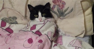 Liv&#39;s Fave Films